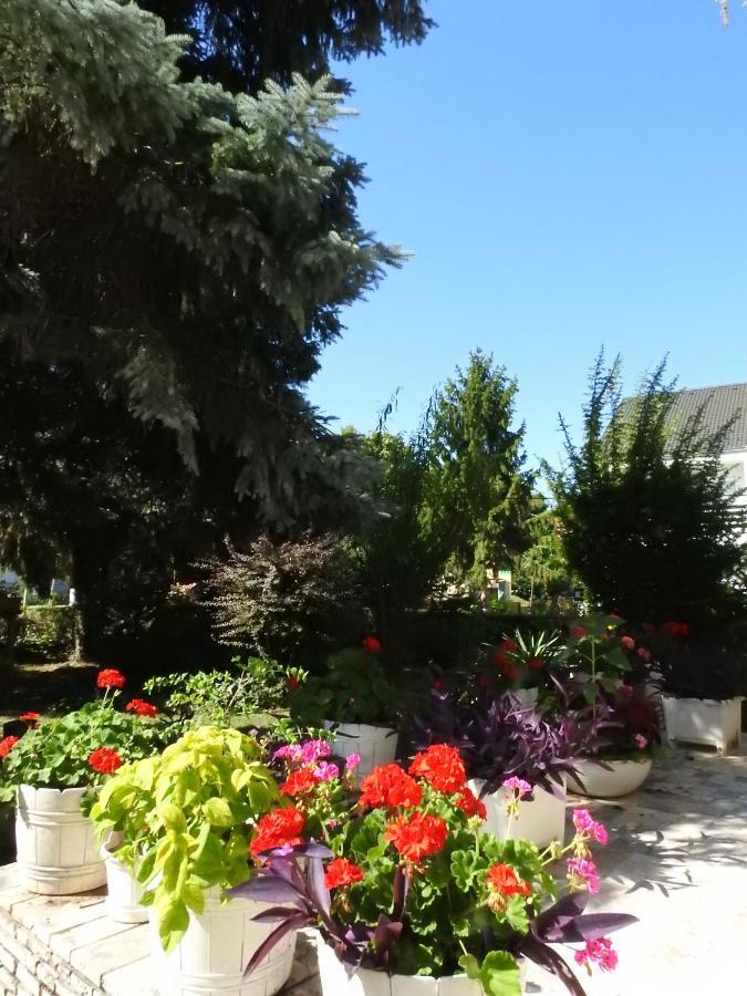 Hotel Haus Gizella Harkány Zewnętrze zdjęcie