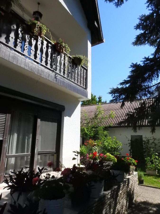 Hotel Haus Gizella Harkány Zewnętrze zdjęcie