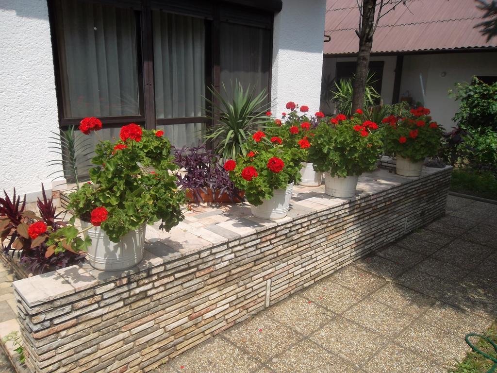 Hotel Haus Gizella Harkány Zewnętrze zdjęcie