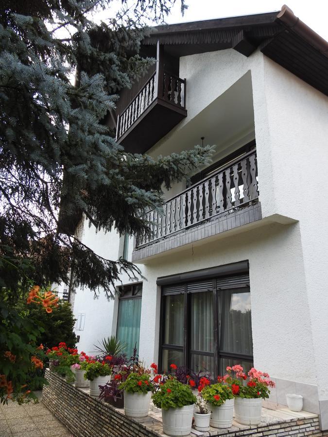 Hotel Haus Gizella Harkány Zewnętrze zdjęcie
